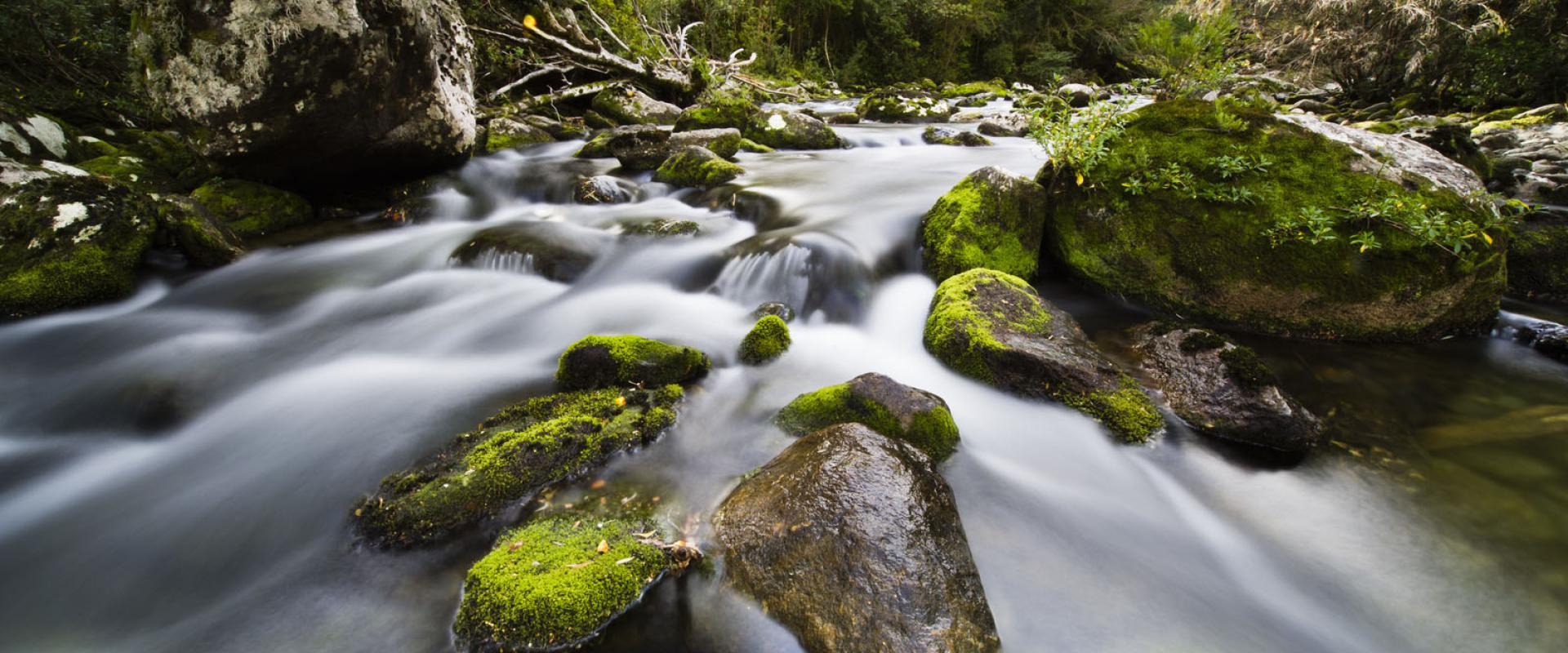 the team | Resilient Watersheds