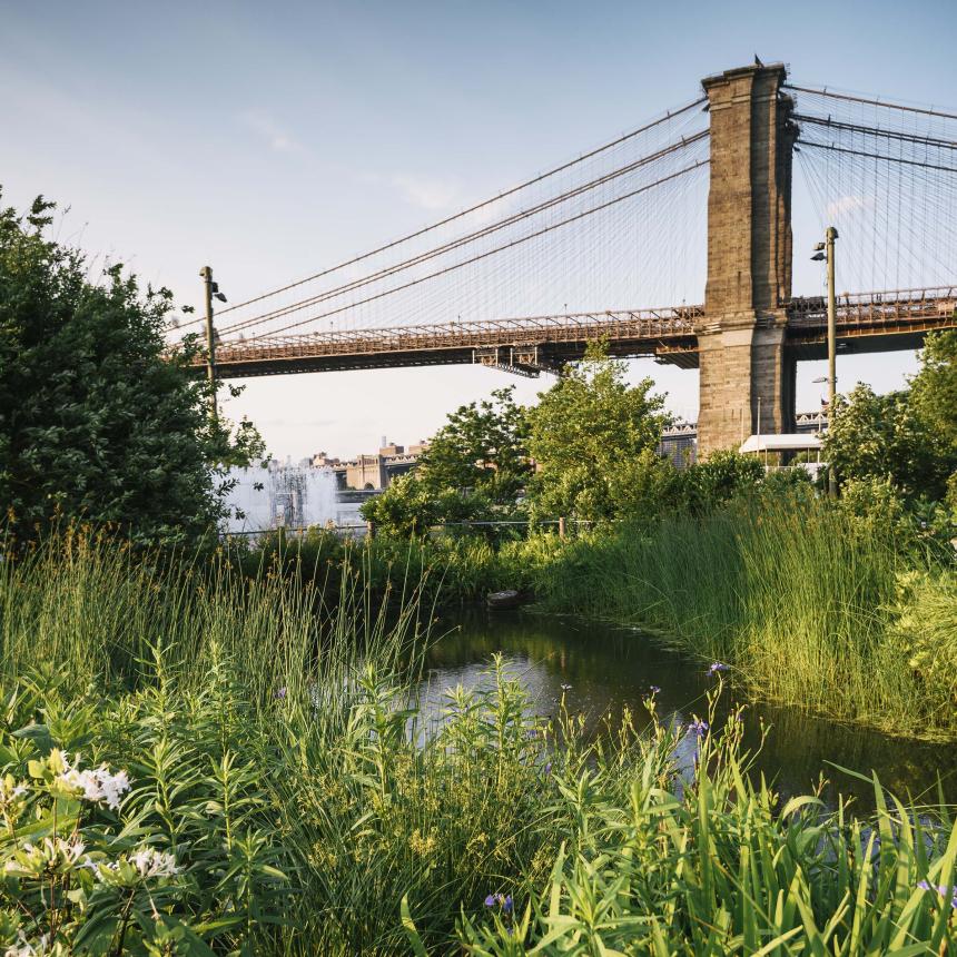 View of bridge from stream and greenery