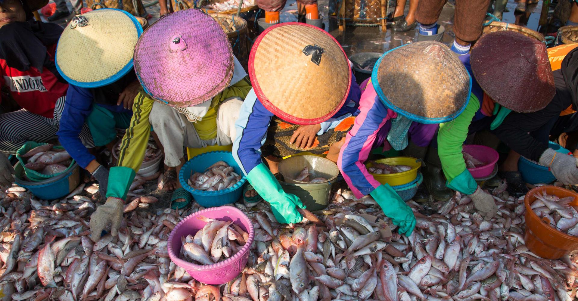 Five people with straw hats are squatting down to sort caught fish in seafood market in Asia
