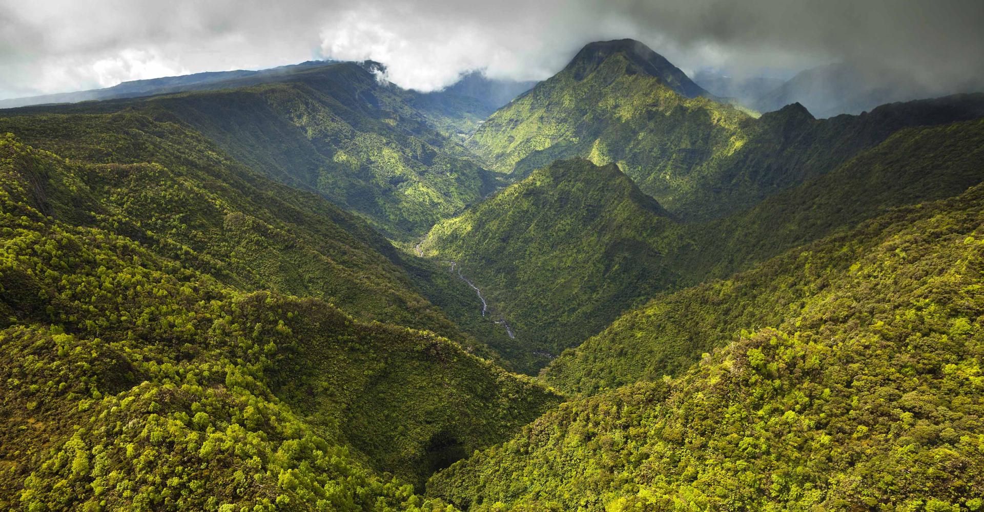 River running through green mountains