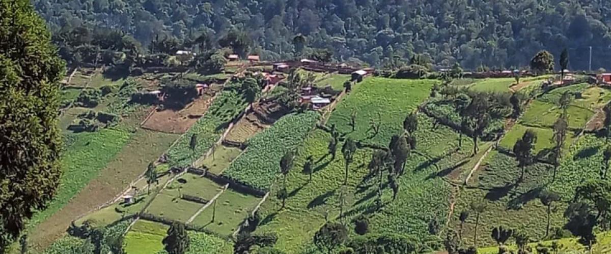 Eldoret landscape with green hills, trees, and meadows