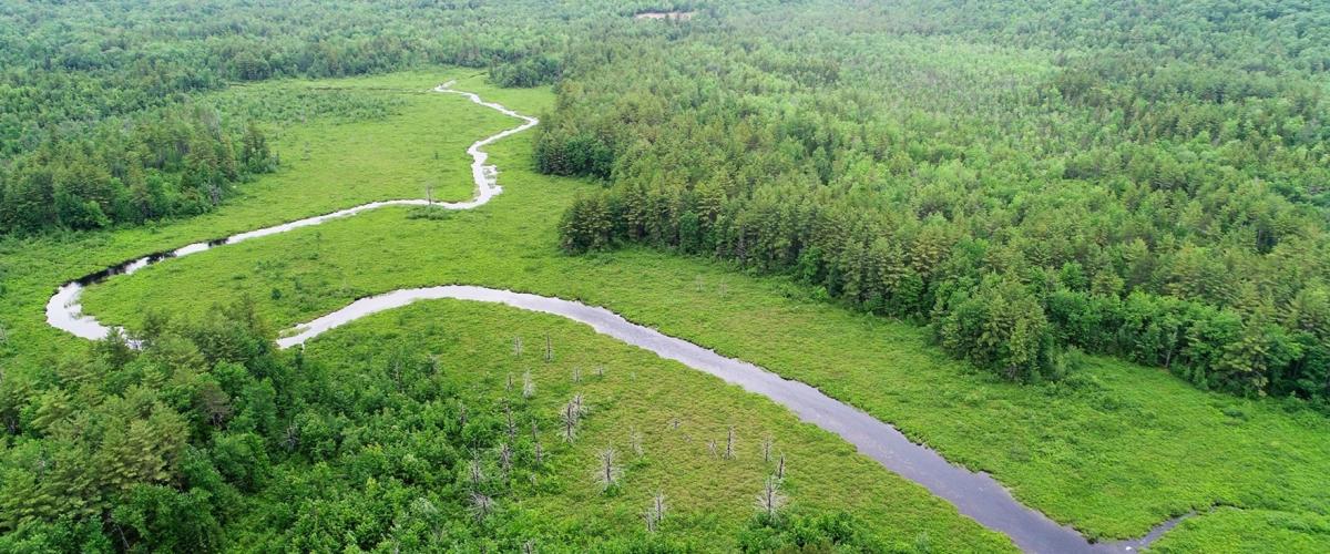 a stream flows through a verdant wetland, perspective is from the sky looking