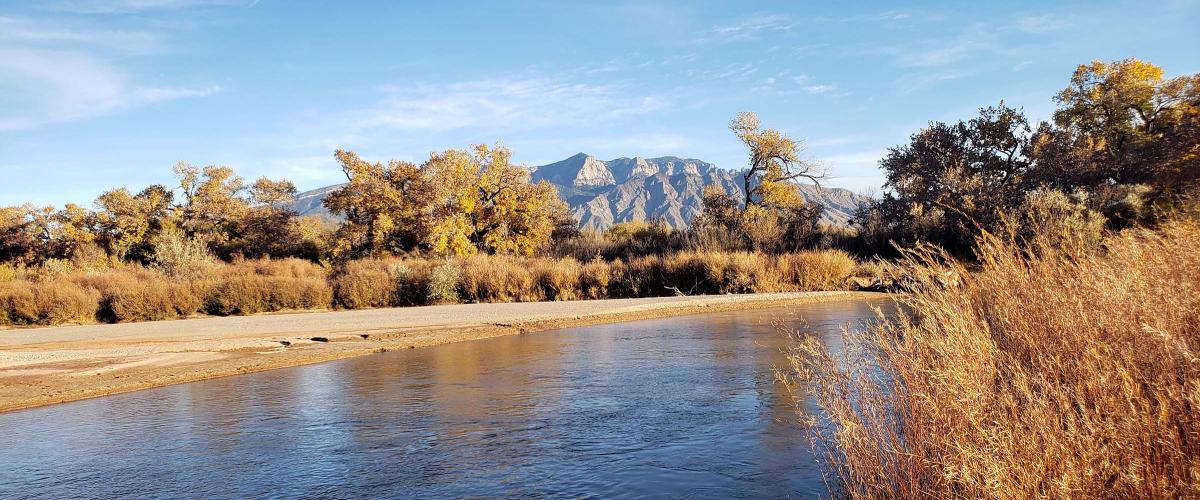 View of Rio Grande at Rio Rancho