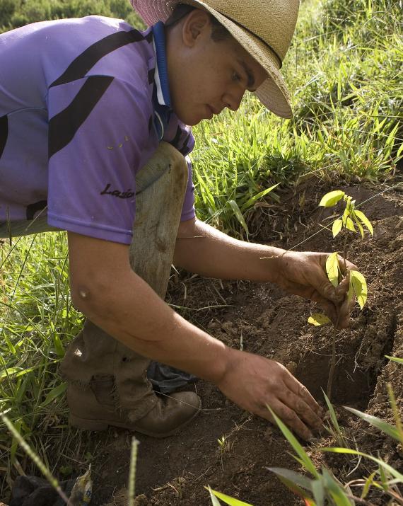 Young farmer wearing a hat planting