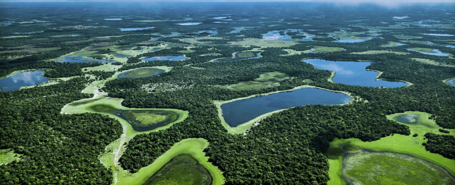 Brazil, aerial view of lakes and vegetation